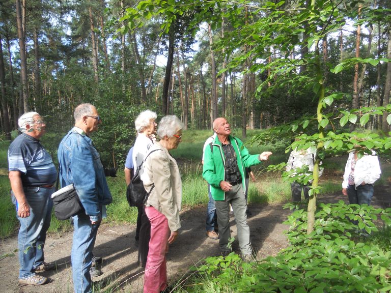 Wandelen op de Brabantse Wal