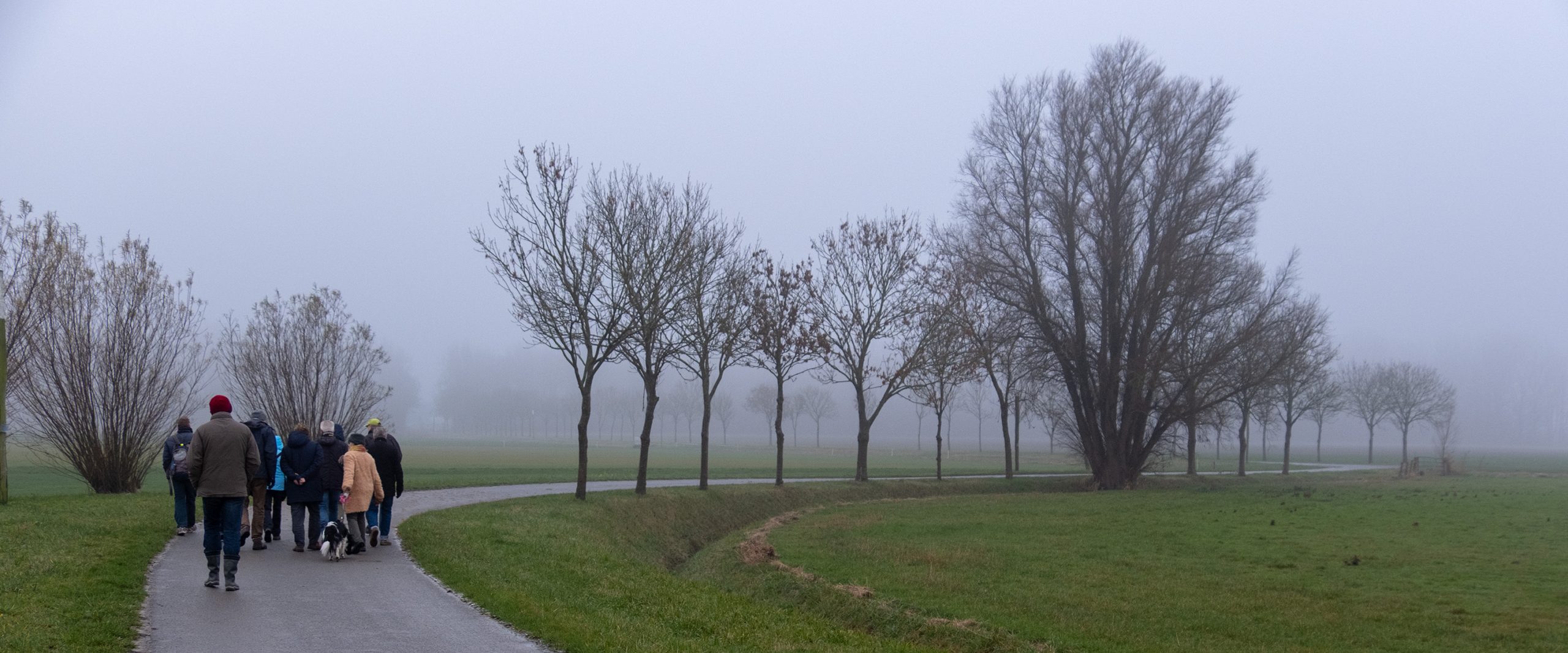 Brabantse Wal Auvergnepolder