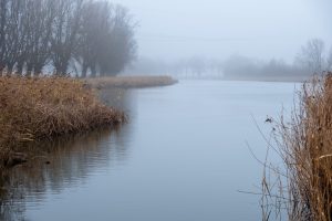 Brabantse Wal Auvergnepolder Lange Water