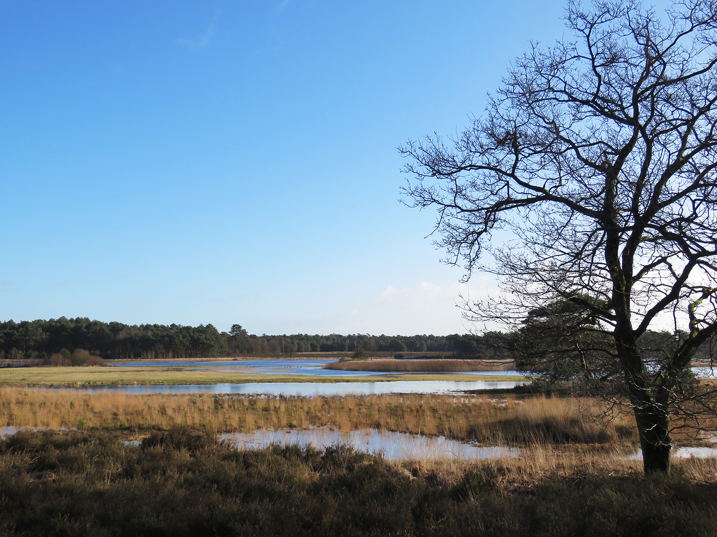 BrabantseWal grenspark KalmthoutseHiede KleineMeer