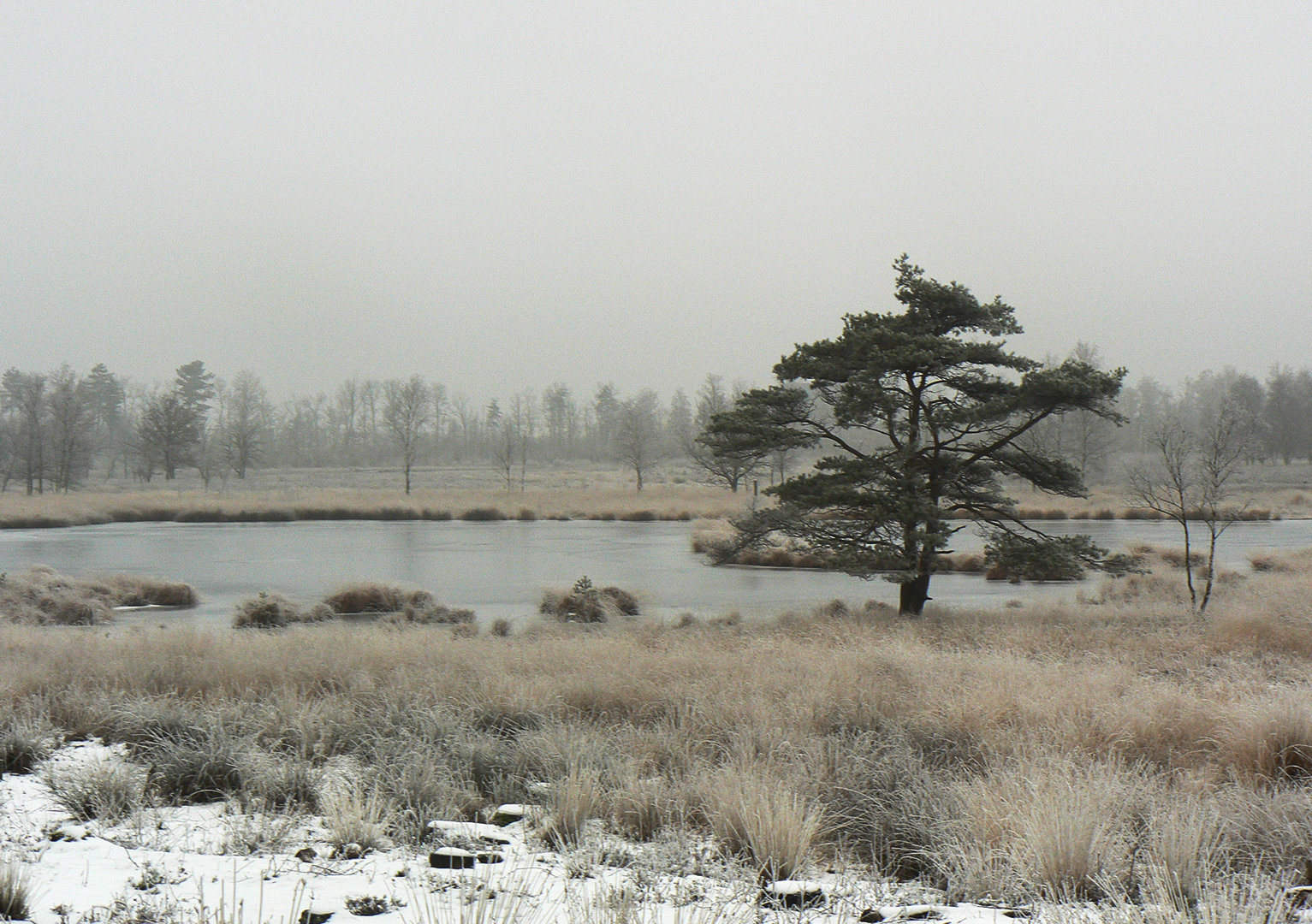 BrabantseWal Krotenhoeff Winter