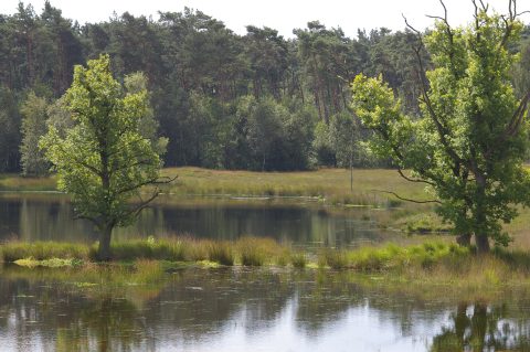 GroeneZoom BrabantseWal Kortenhoeff