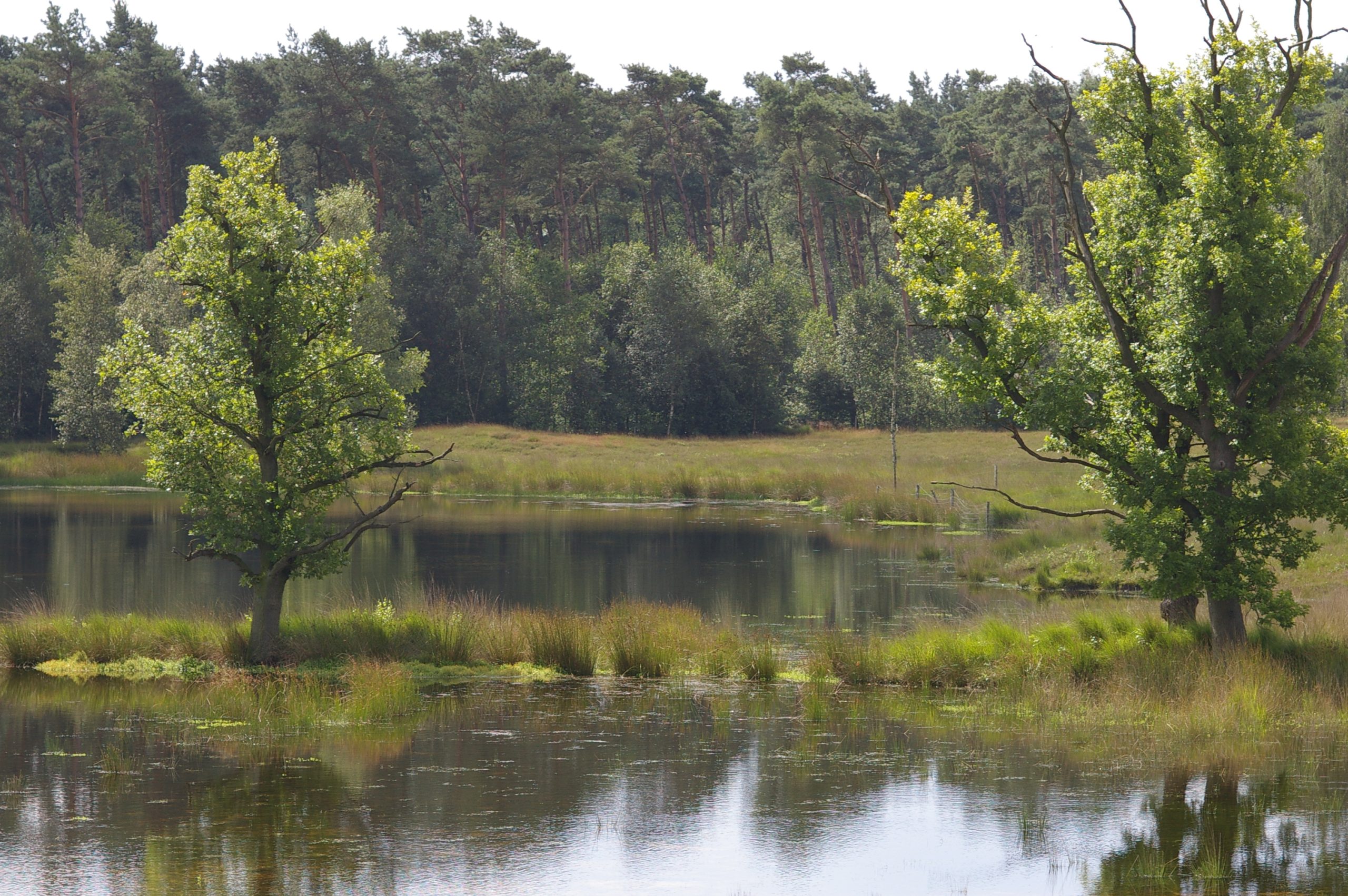 GroeneZoom BrabantseWal Kortenhoeff