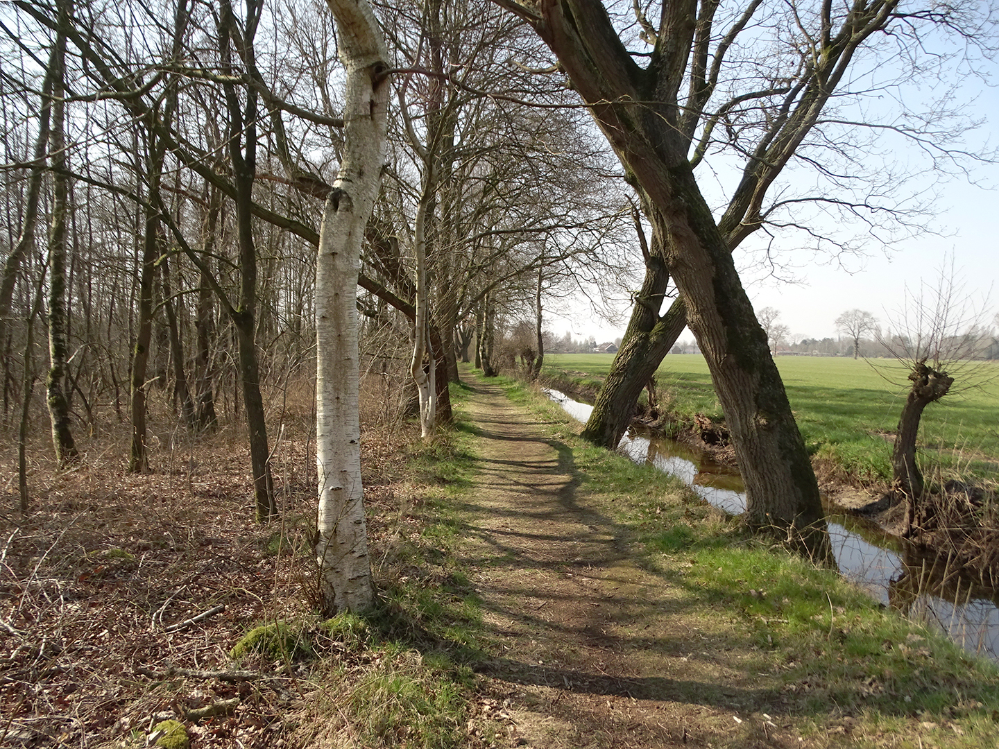 DeMaatjes Grenspark KalmthoutseHeide IVNGroeneZoom