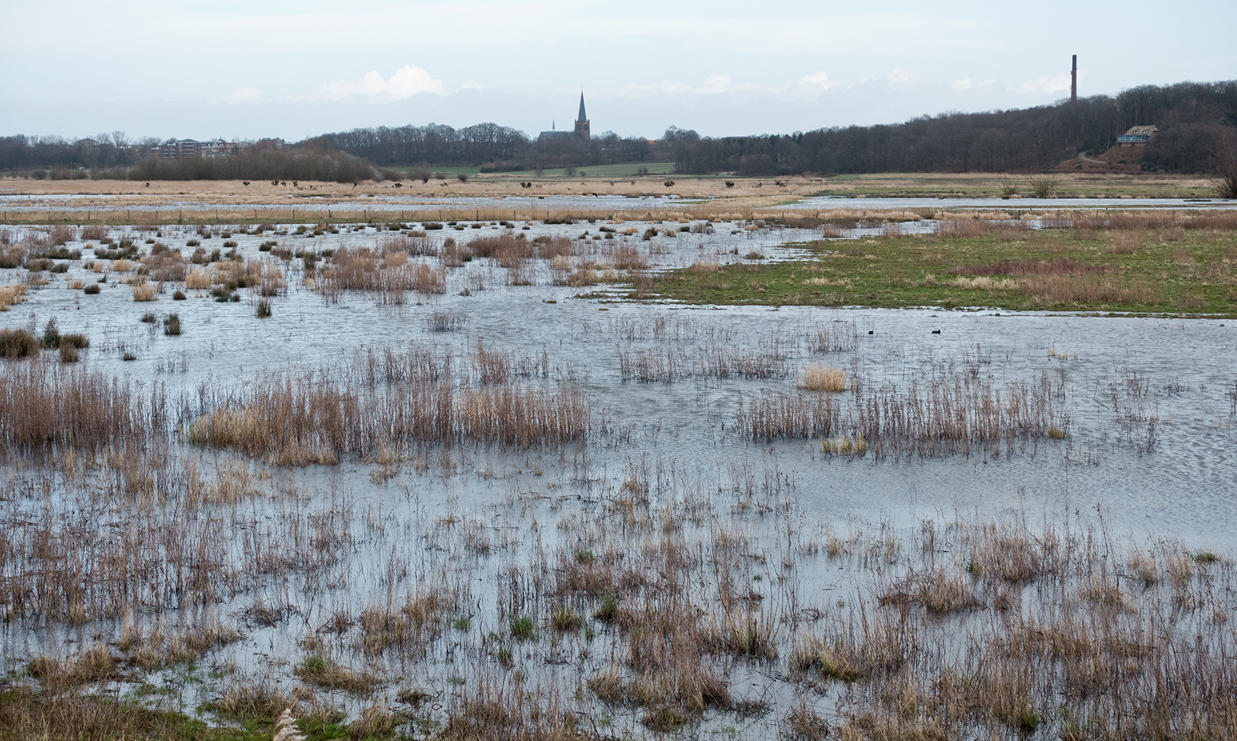 GroeneZOom BrabantseWal Nareka Noordpolder Ossendrecht