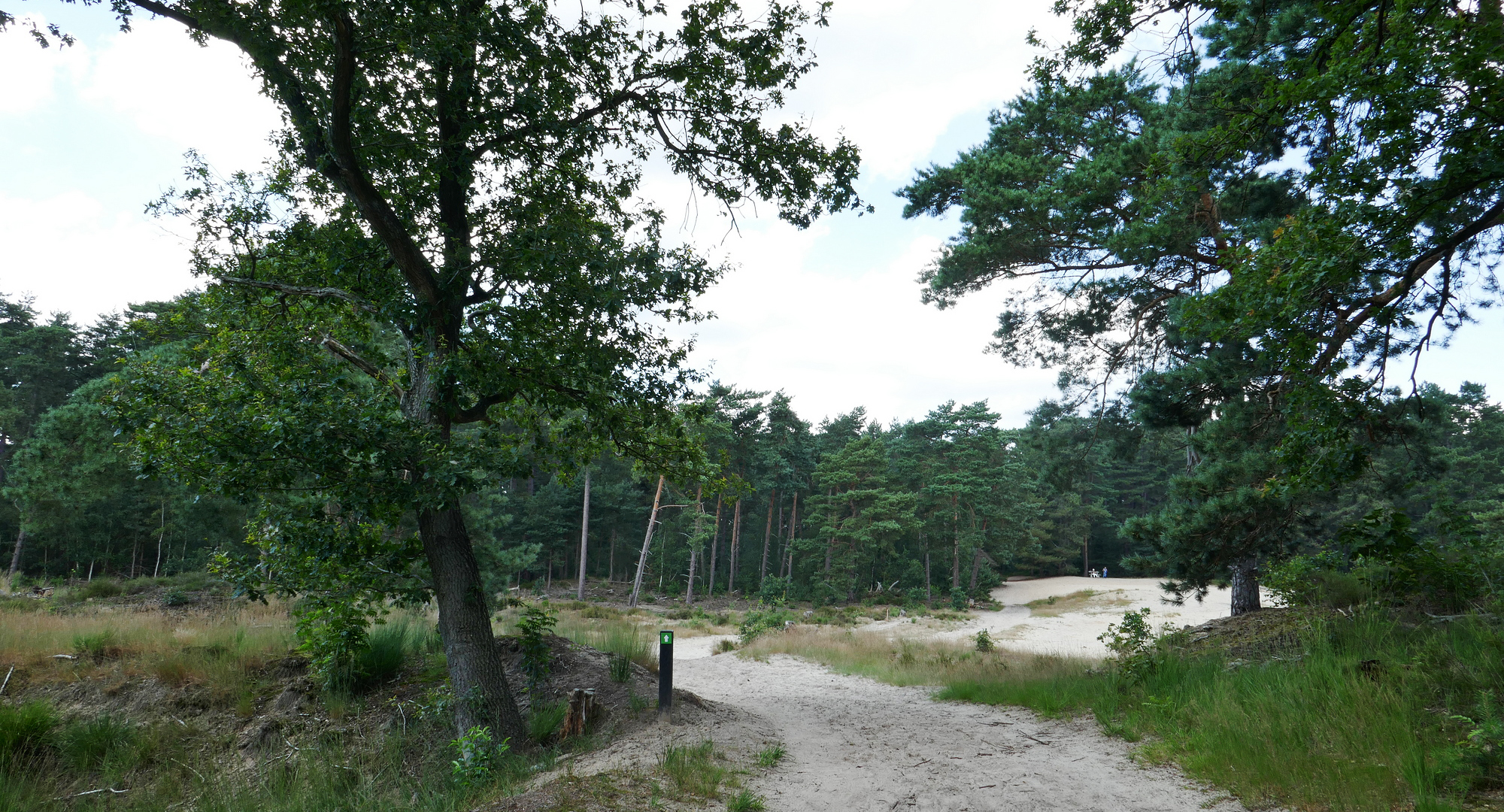 BrabantseWal GroeneZoom Wouwse Plantage Zurenhoek BorgvlietseDuinen