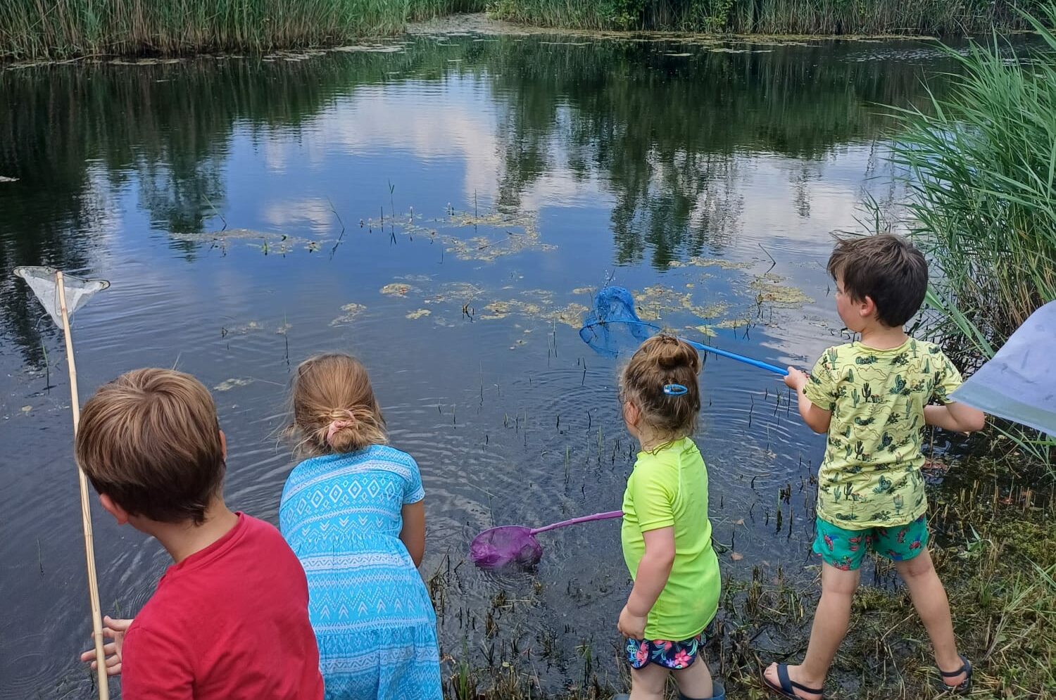 GroeneZoom BrabantseWal Slootjesdag