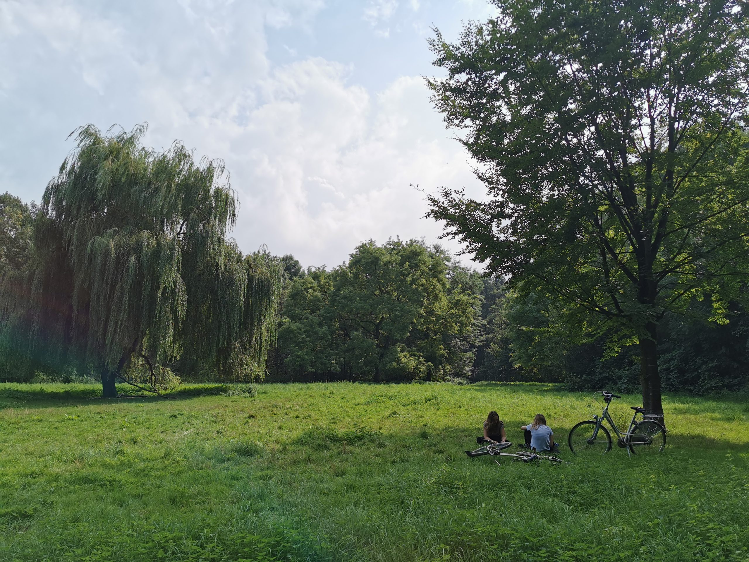 Twee mensen zitten in een groen park met fietsen, onder een boom.
