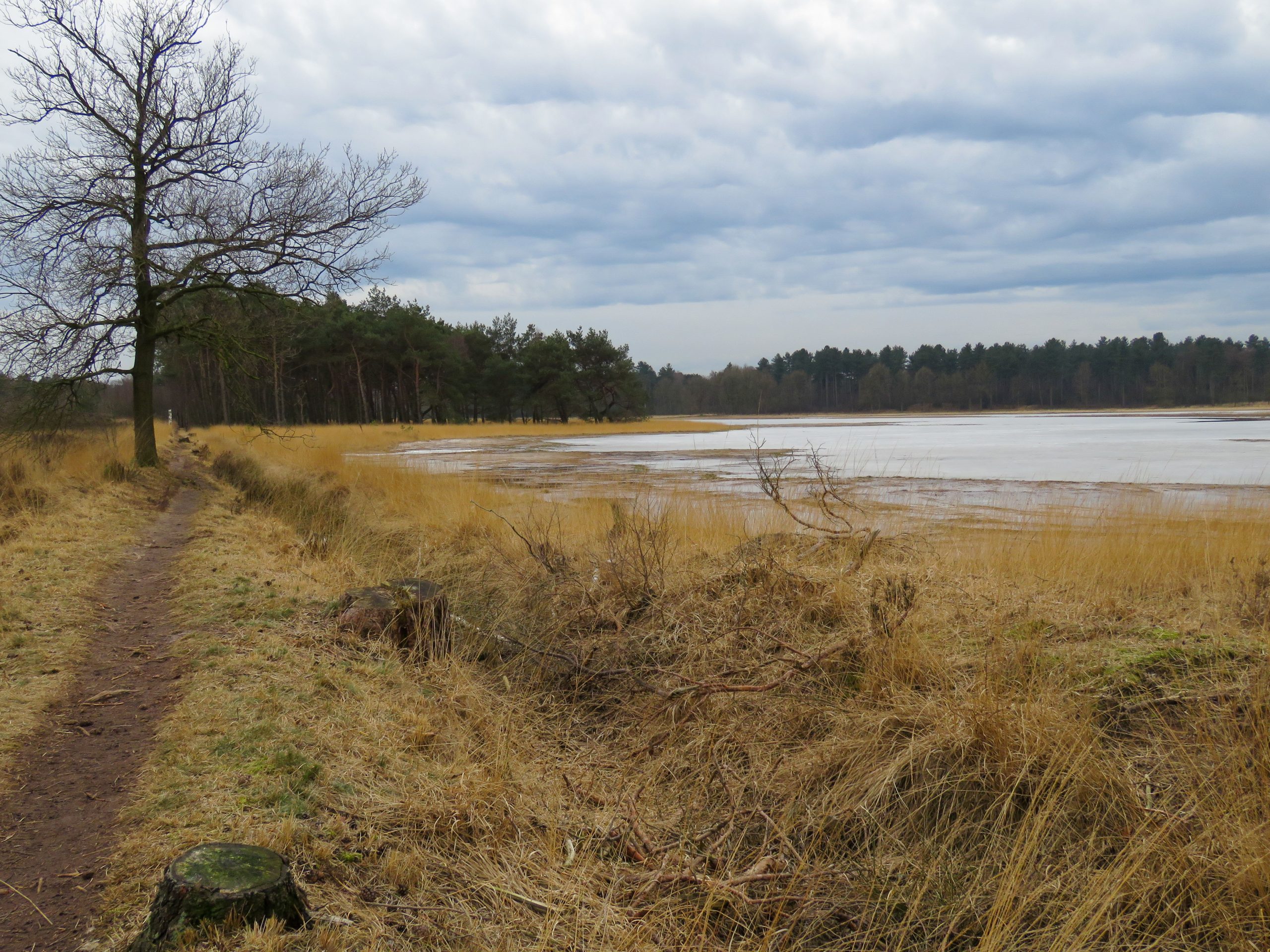 KleineMeer BrabantseWal GroeneZoom