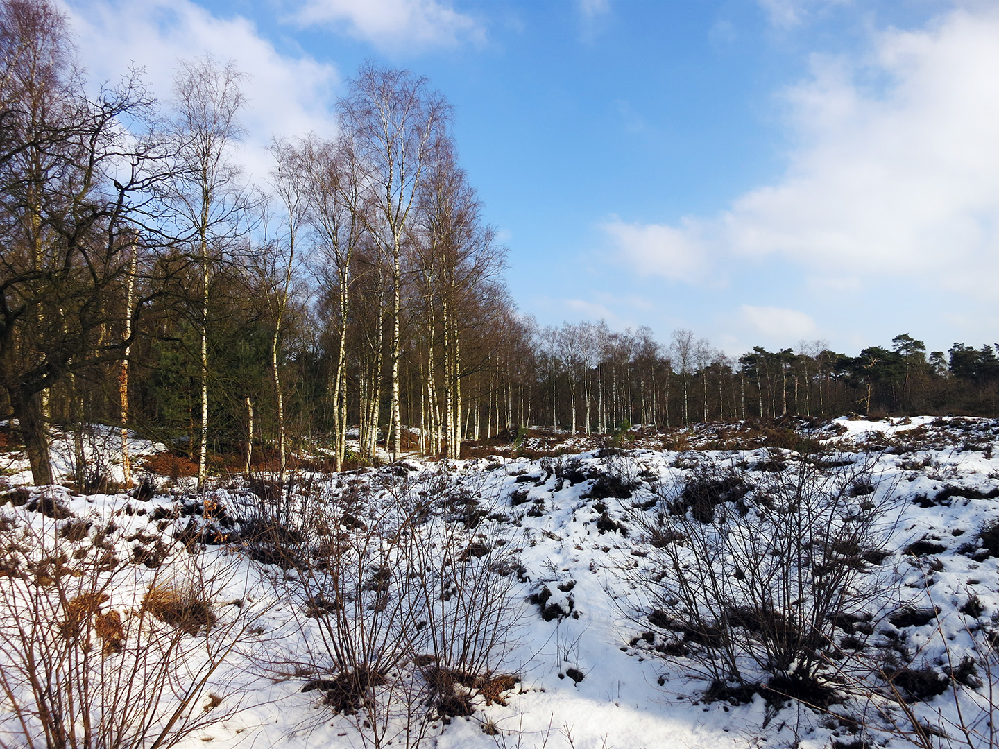BrabantseWal Grenspark KalmthoutseHeide StaartseDuinen