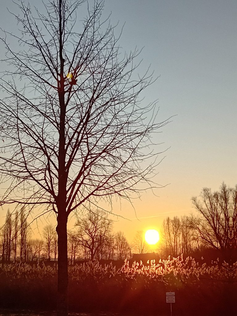 BrabantseWal IVN GroeneZoom Winter 2024