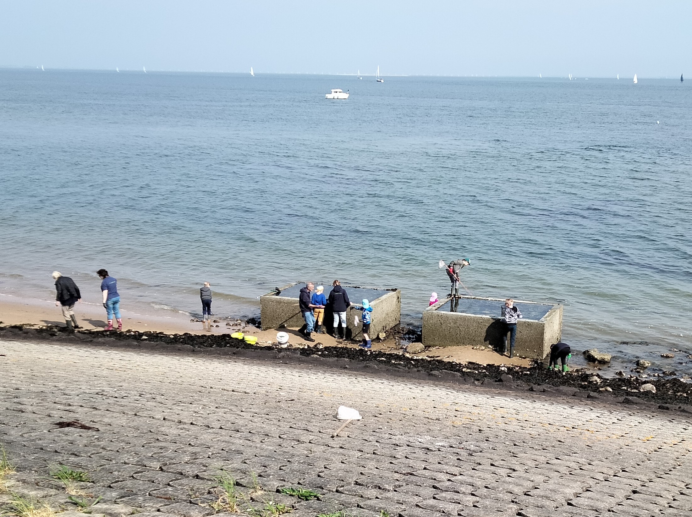 Oosterschelde GroeneZoom Scharrelkids