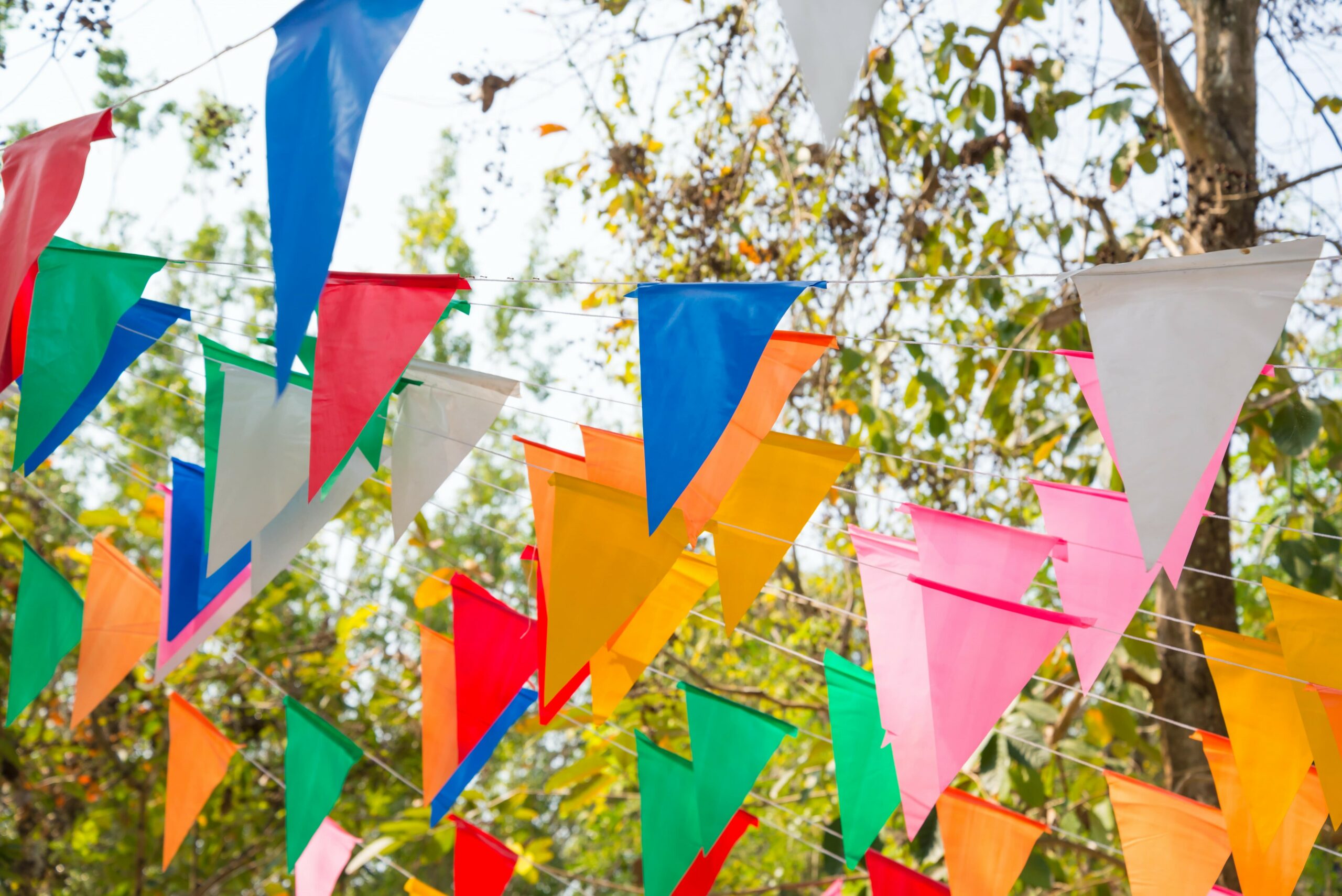 Kleurrijke feestvlaggetjes hangen aan lijnen tegen een achtergrond van bomen.