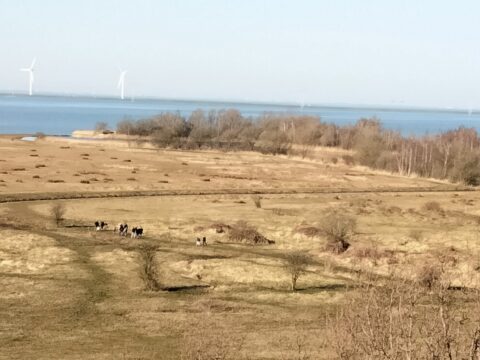 BrabantseWal Markiezaat Kraaijenberg