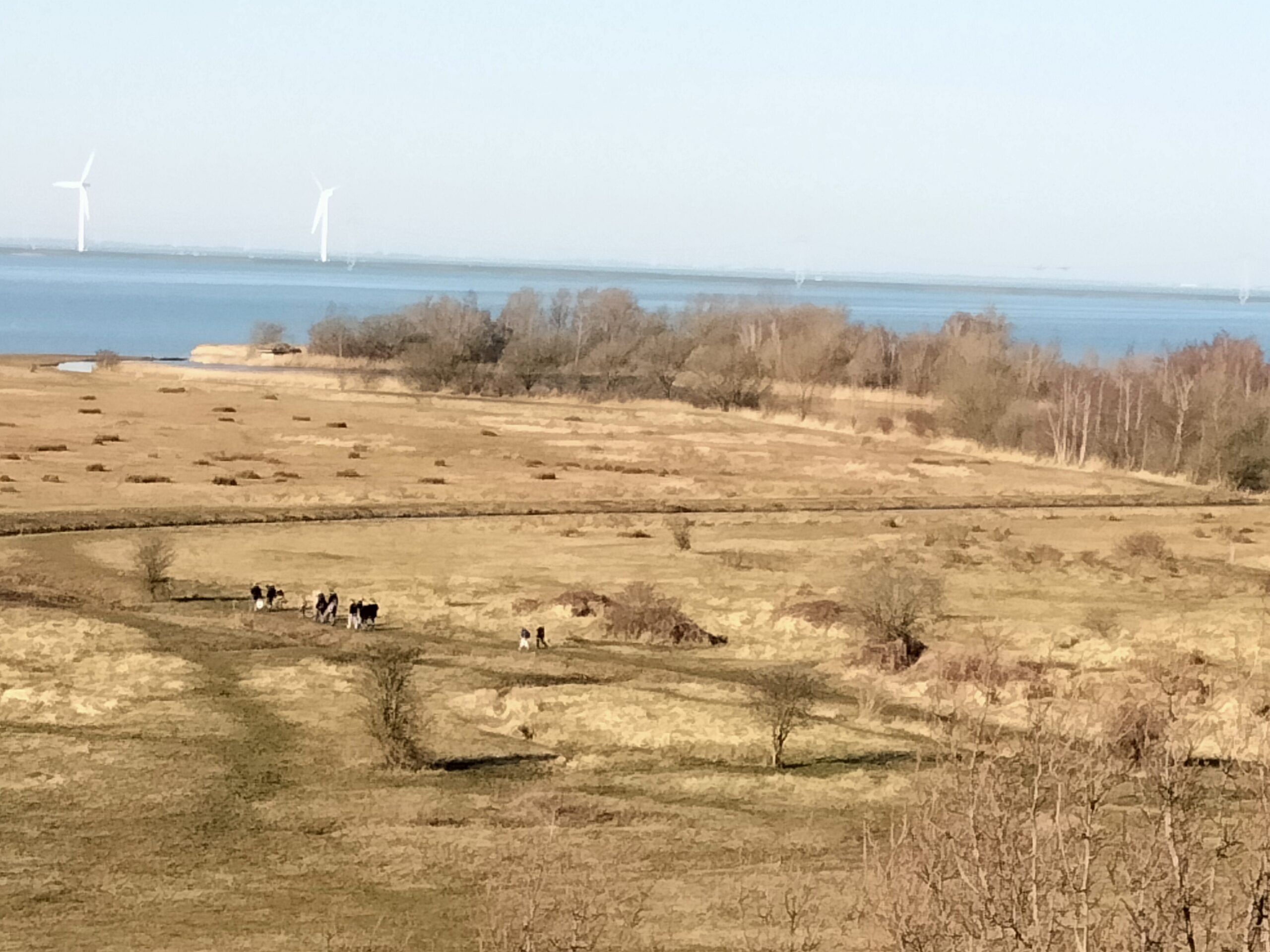 BrabantseWal Markiezaat Kraaijenberg