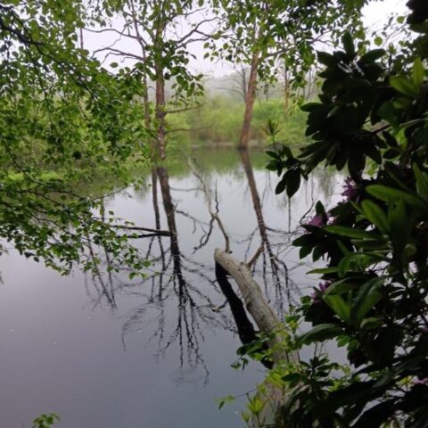 Blik door de bomen op de plas Zeezuiper BrabantseWal Zoomland Zeezuiper