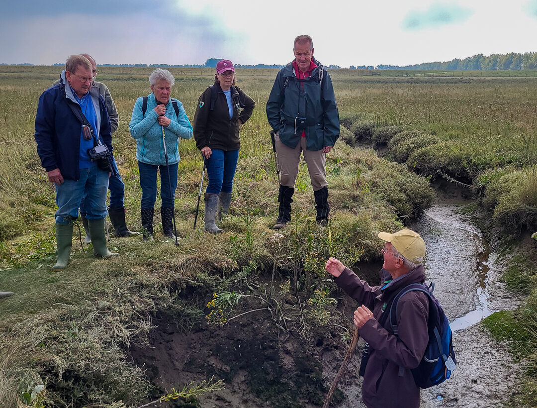 Geopark Schelde Delta BrabantseWal