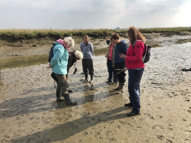 Scharrelkids Groenezoom Oosterschelde Brabantsewal