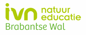 Logo van IVN Natuureducatie Brabantse Wal in groene letters.