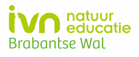 Logo van IVN Natuureducatie Brabantse Wal in groene letters.