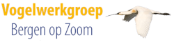 Lepelaar Logo Vogelwerkgroep Bergen op Zoom