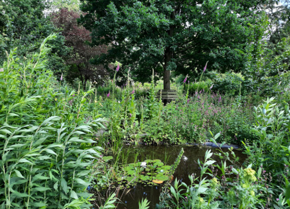 vlinder-insectentuin Riethoven, poel en boombank