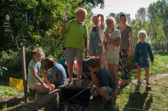 Jeugd IVN op de Plateaux