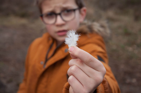 jeugd IVN veertje gevonden