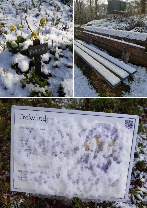 sneeuwfoto's vlindertuin april 2021