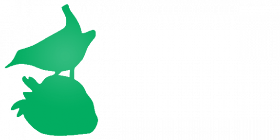logo Jan en Jans Visserfonds v2