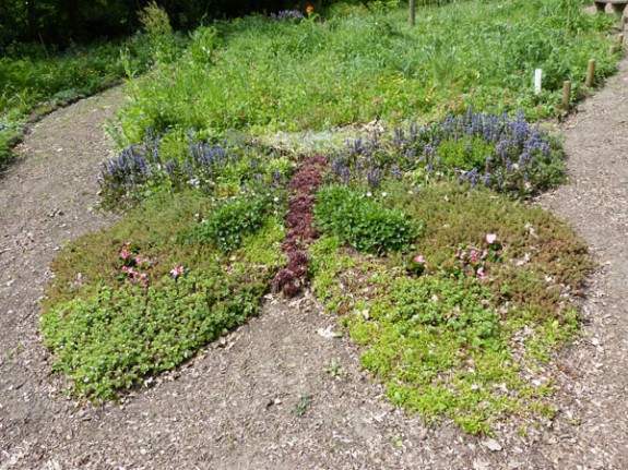 vlinderperk vlinder-insectentuin Riethoven
