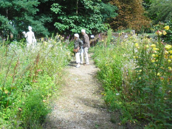 Heemtuin 170730 IVN Valkenswaard-Waalre