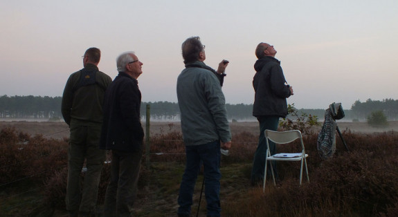 Eurobirdwatch IVN Valkenswaard-Waalre