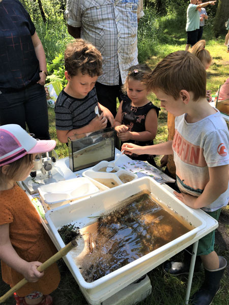 waterdiertjes bekijken