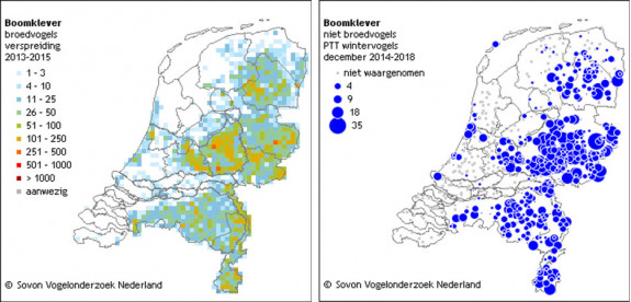 boomklever, broeddichtheid en winterverspreiding