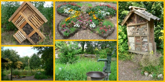 Vlinder-insectentuin Riethoven