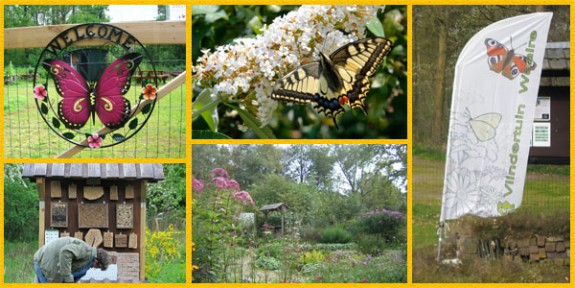 Vlindertuin Waalre