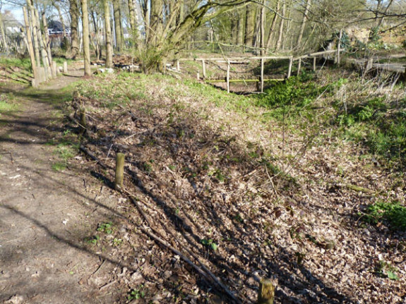 heemtuin droge sloot