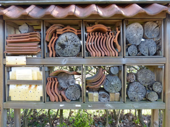 heemtuin insectenhotel