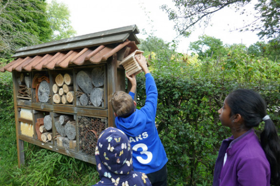 Jeugd IVN insectenhotel