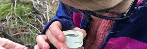 Jeugd IVN Valkenswaard-Waalre kop 3op1