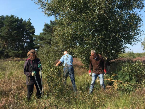 vawa_malpieschonen02