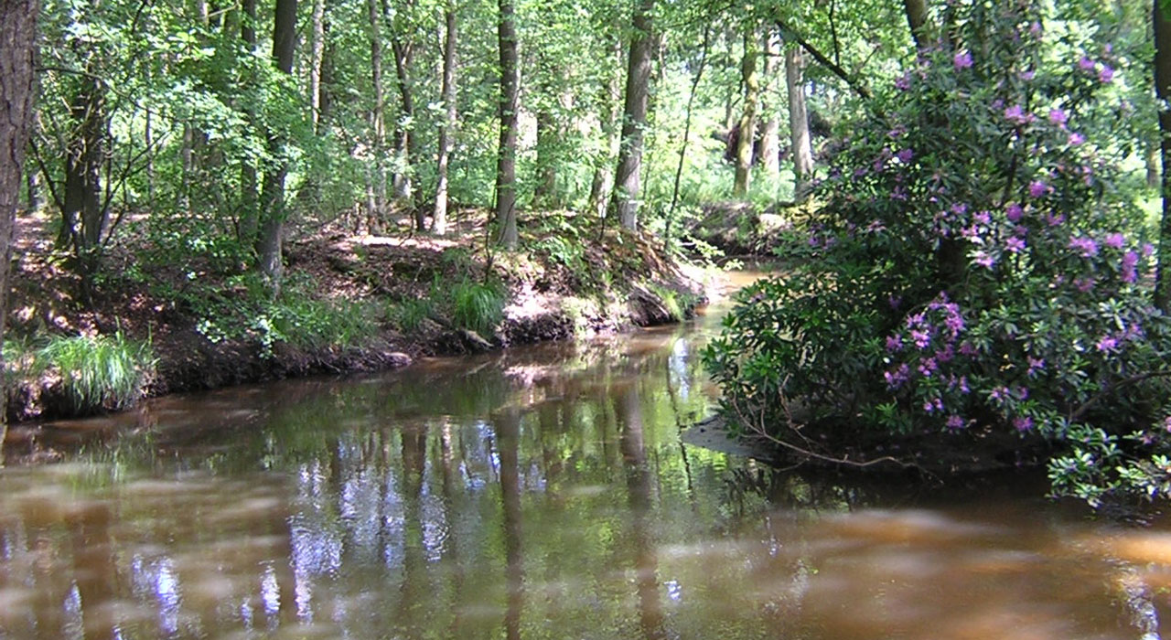 Tongelreepdal Valkenswaard