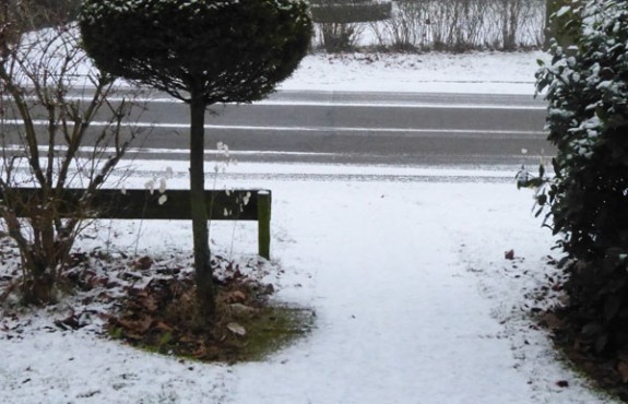 dooi op de weg IVN Valkenswaard-Waalre