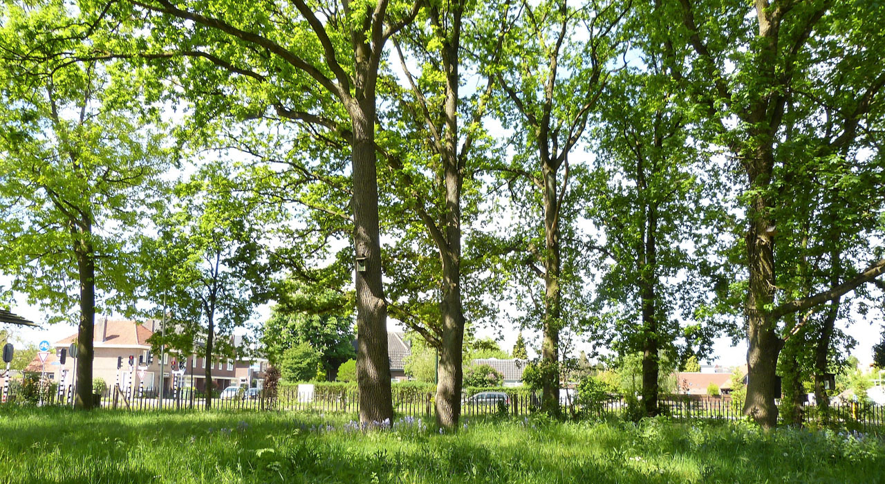 Halverwege