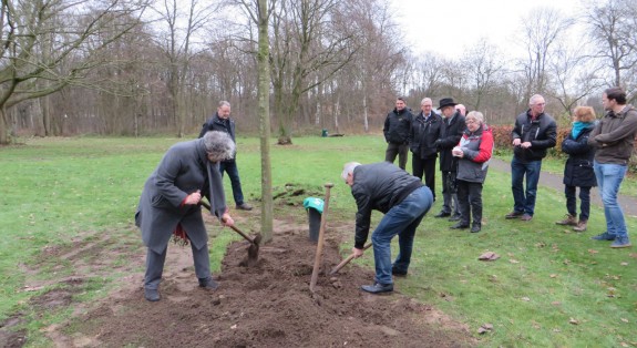 planten jubileumboom IVN Valkenswaard-Waalre