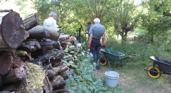 water geven vlindertuin