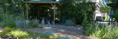 De IVN-tuin van Riethoven