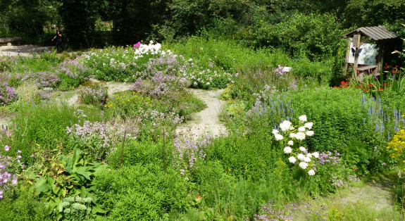 vlindertuin waalre vlinderperspectief