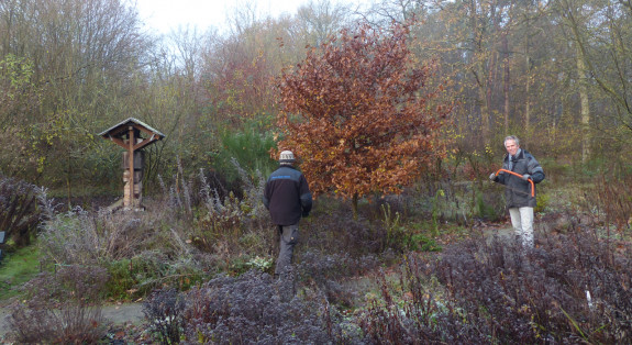 onderhoud eik vlindertuin